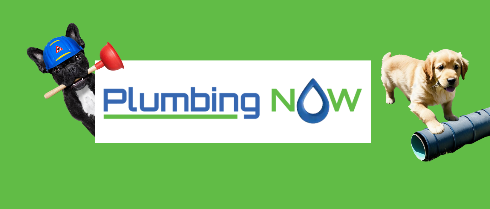 drain services with plumbing now ottawa ON