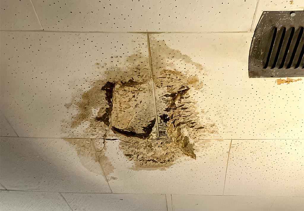 Leak Inspection in Riverside Park, Ontario