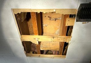 Leak Inspection in Riverside Park, Ontario